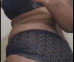 🐱🐱🐱come pet my kitty!! - Image 3
