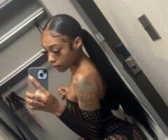 LAST DAY IN TOWN U𝓵𝓽𝓲𝓶𝓪𝓽𝓮𝓟𝓵𝓪𝔂𝓶𝓪𝓽𝓮💓ᎪᏙᎪᏆᏞᎪᏴᏞᎬ 💕🦋☑ Ready➜ⓝⓞⓦ 📲 - Image 4