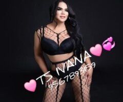 🔥 Spicy TS Ivana in Corpus Christi 🔥💕 Ready for You 💋 - Image 3