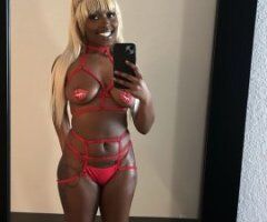 Petite Playhouse 💋 Southern Charm & Bubble Booty 🍑 - Image 5