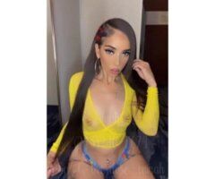Exclusive Temptress 🍑 Ready to Please 💋 San Jose - Image 10