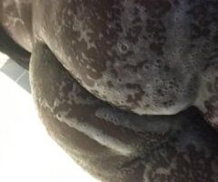 🔥 Sizzling Encounters in Ocala 🍑💋 Only for Kings 🍫