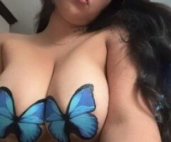 🔥 Palm Bay Pleasure: Naughty Vibes 💋💦 Pics & More 📹✨ - Image 3
