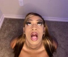 🔥 Vitiligo Stallion in CT! 💋 Let’s Play 💦 - Image 2
