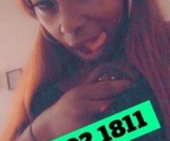 🎲 Memphis Delight 🍑 Trucker's Dream 💋 Squirter Fun 💦