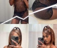 JAMAICAN EBONY AVAILABLE NOW - Image 7