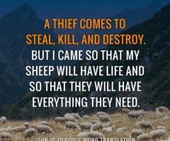 🌸 Escape to Pleasure 🍑✨ No Drama, Just Fun! 💋🔥