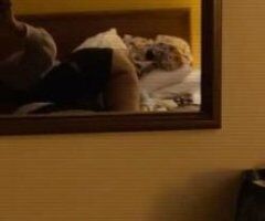 Incalls 🔥💋 Just You & Me in Lexington! 💦👅 - Image 3