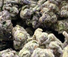 Queen of Desire 💦🔥 Ready to Play? 🍑💋 - Image 2