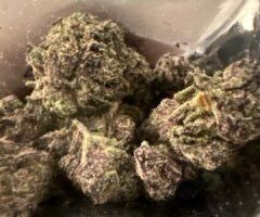 The Trap is Wide Open ⛽💊❄🍦🍄 and more!