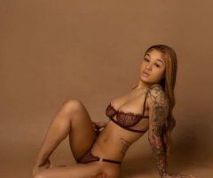 Petite upscale companion - 2