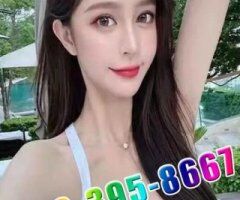 608-395-8667New Asian Girls🌿Best in town🌿Smile service🌼415M12 - 2