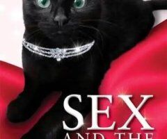 BLACK PUSSY SOLD HERE ✨️✨️✨️✨️✨️ - 4